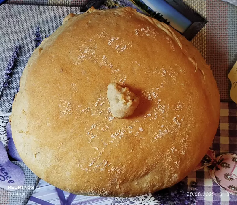 Tapтaлeтки & Ко