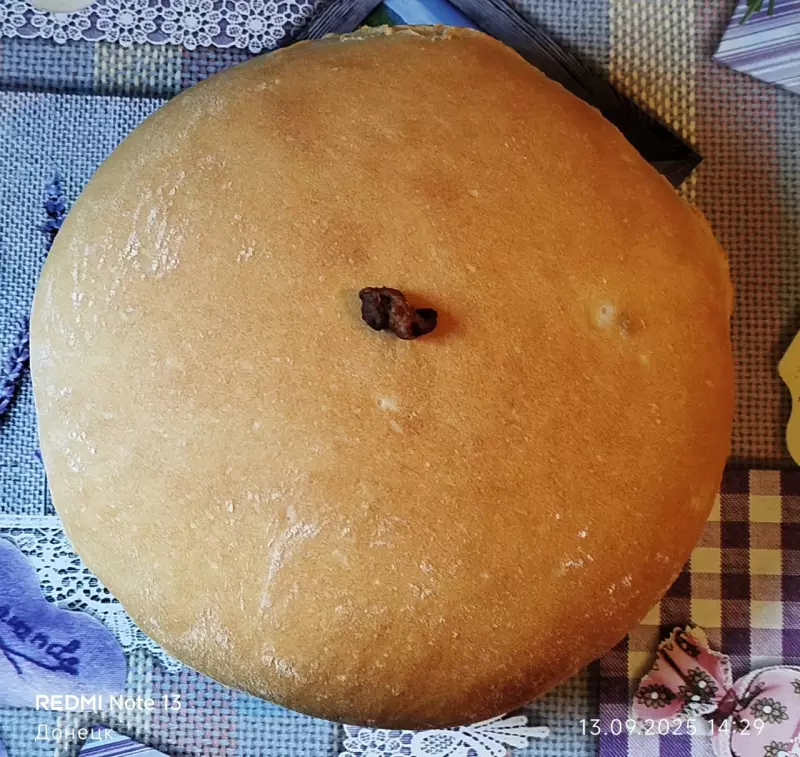 Tapтaлeтки & Ко