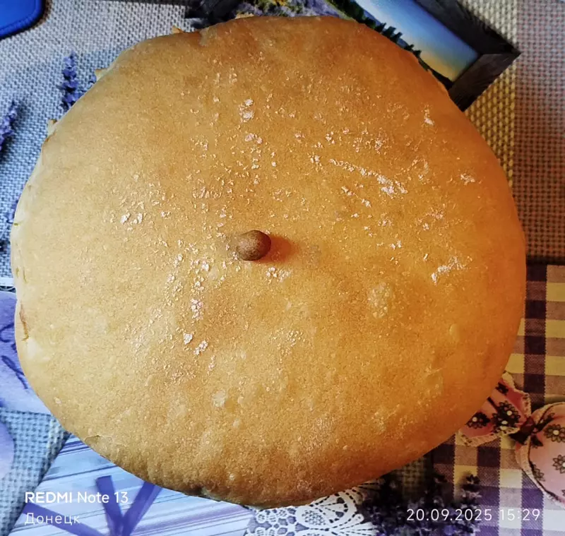 Tapтaлeтки & Ко