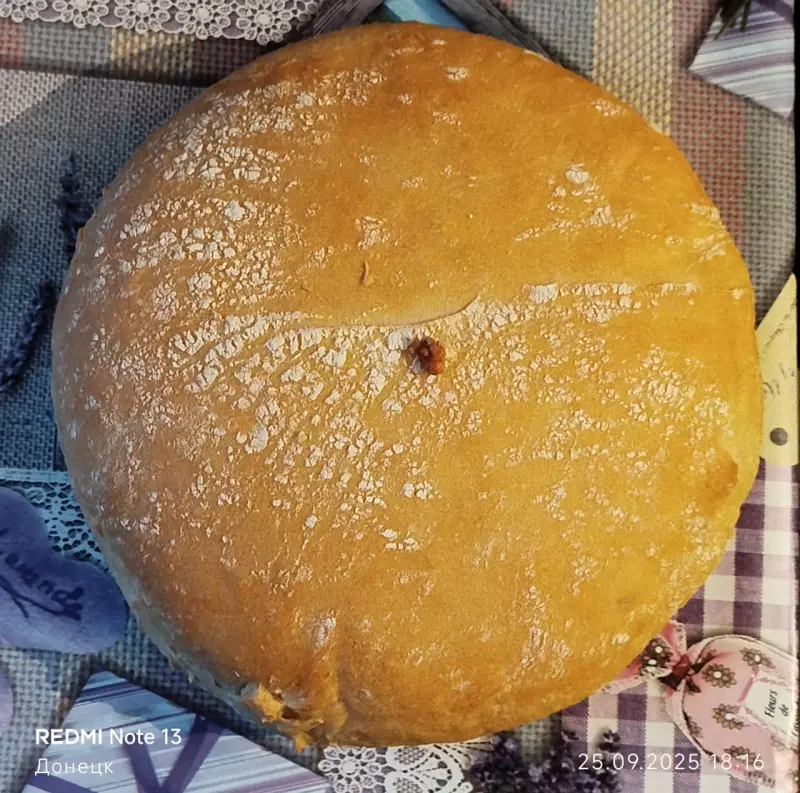 Tapтaлeтки & Ко