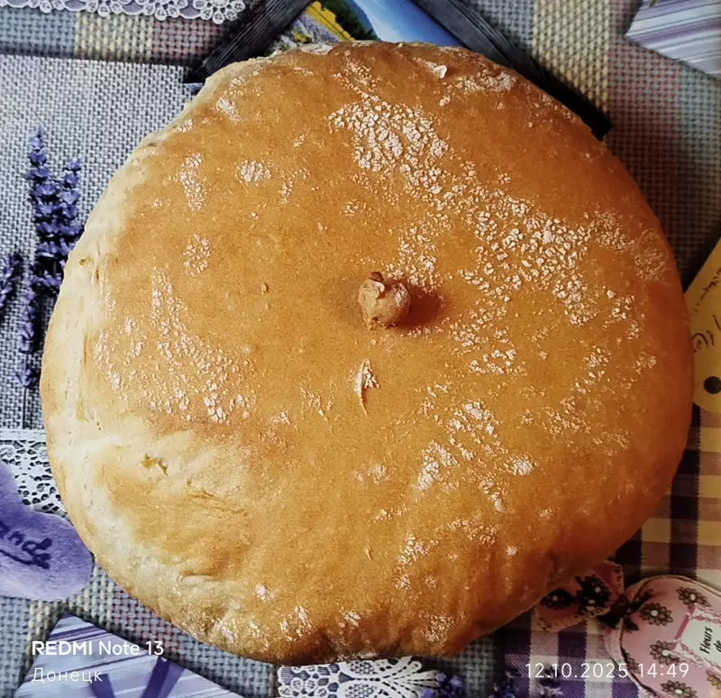 Tapтaлeтки & Ко