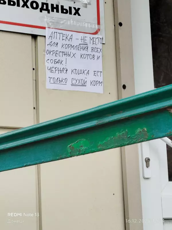 Tapтaлeтки & Ко