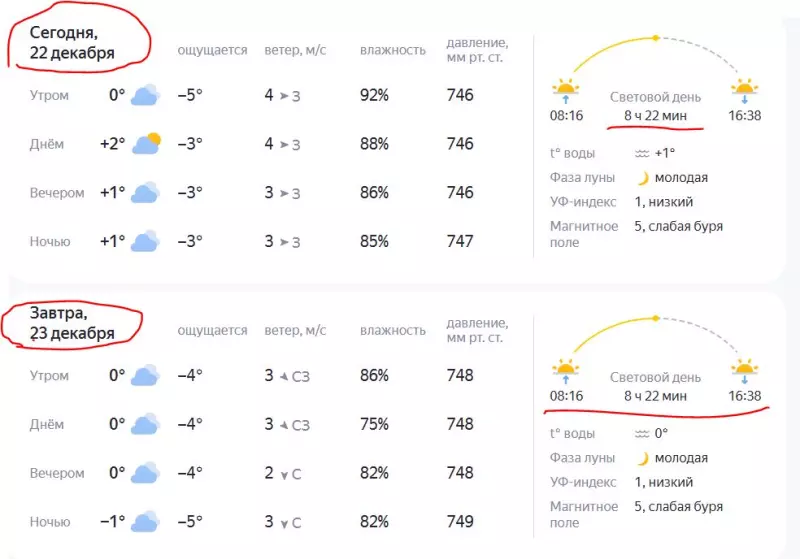 Tapтaлeтки & Ко