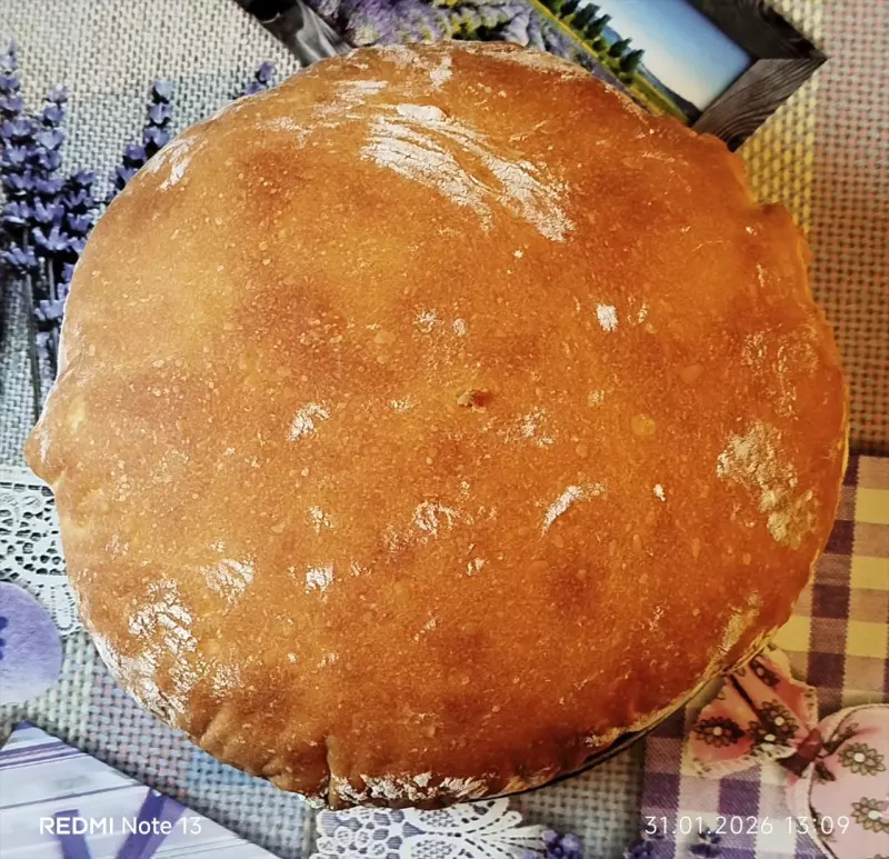 Tapтaлeтки & Ко