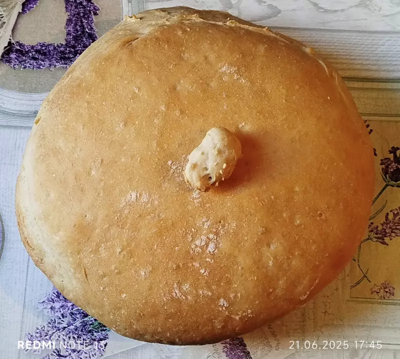 Tapтaлeтки & Ко