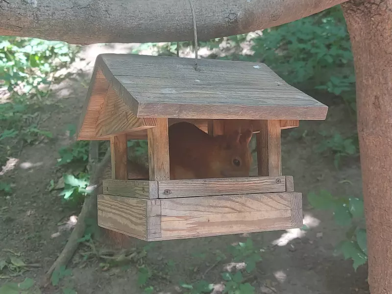 Чайная беседка