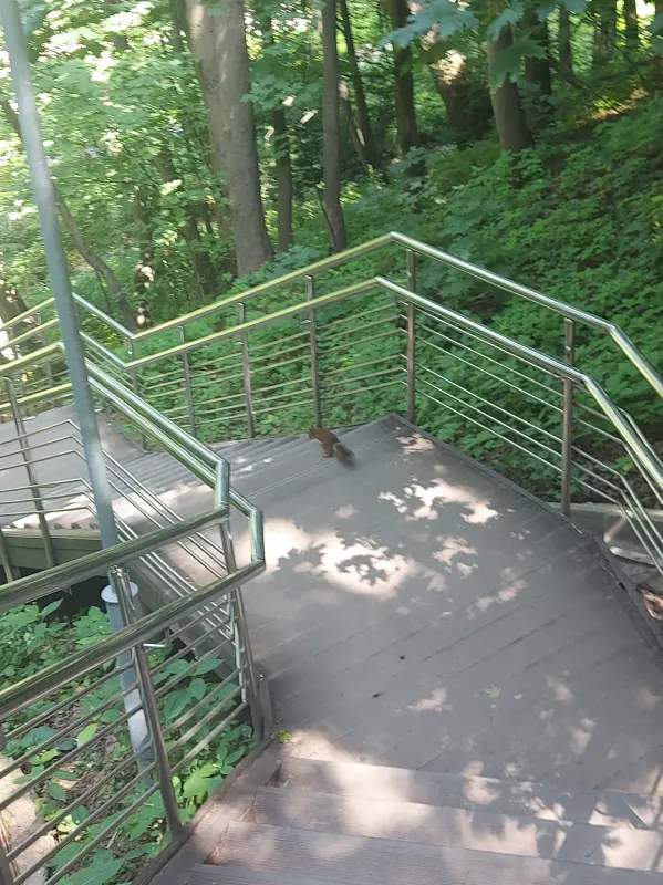 Чайная беседка