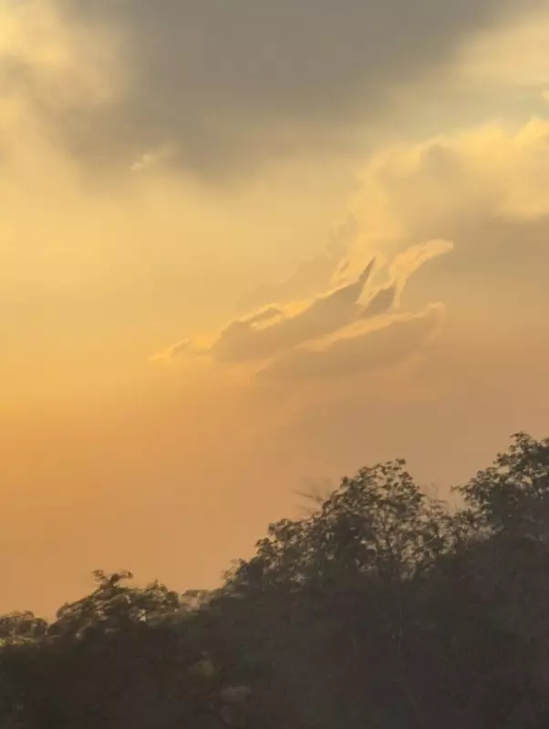 Чайная беседка