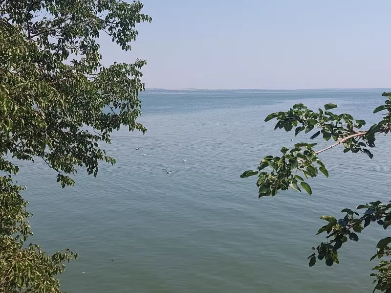 Чайная беседка