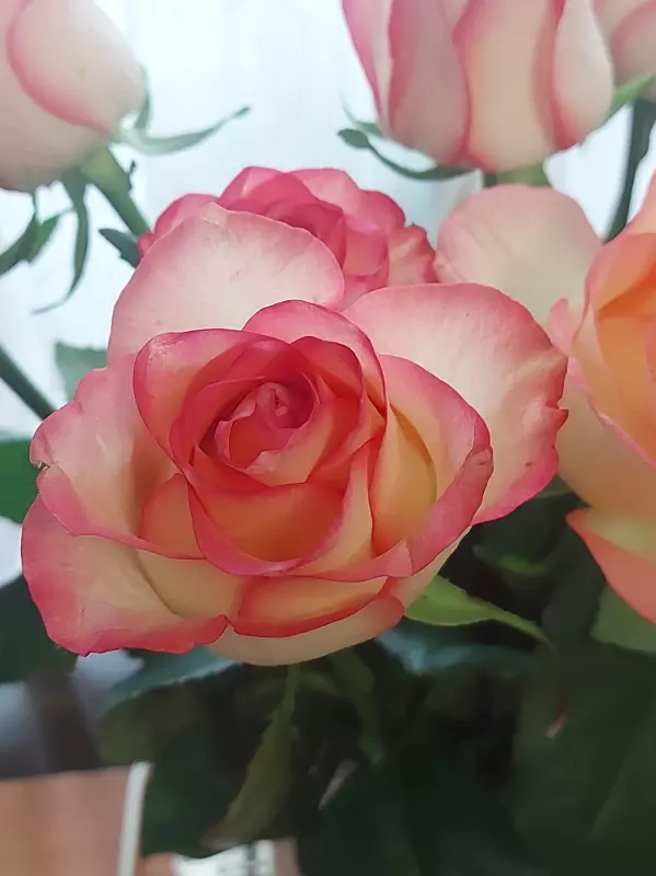 Чайная беседка