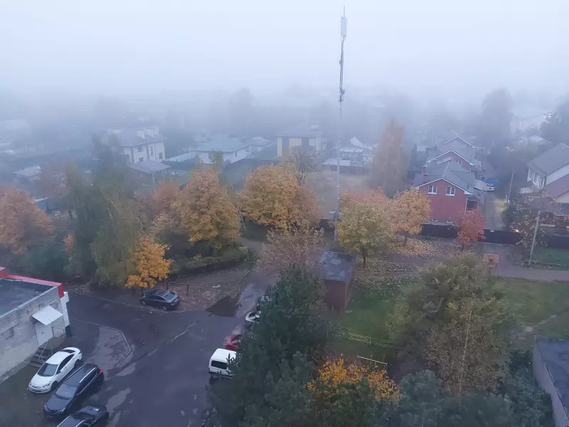 Чайная беседка
