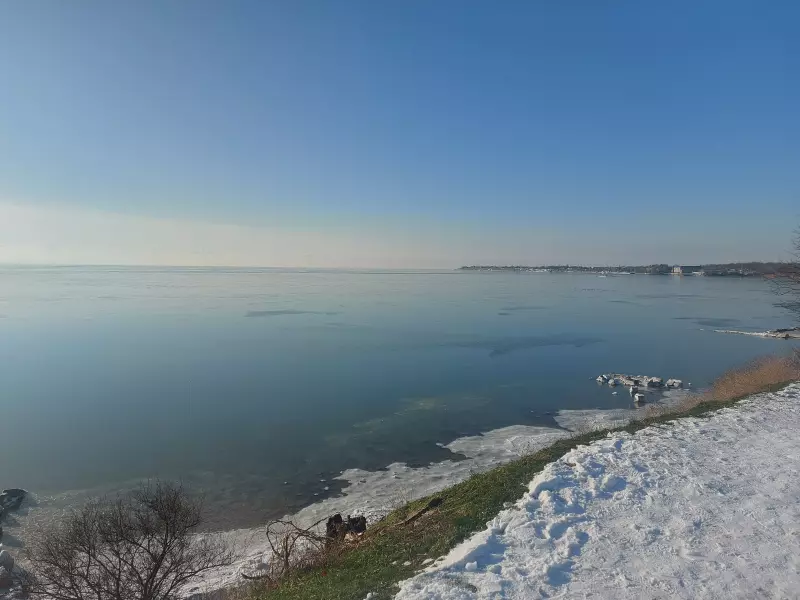 Чайная беседка