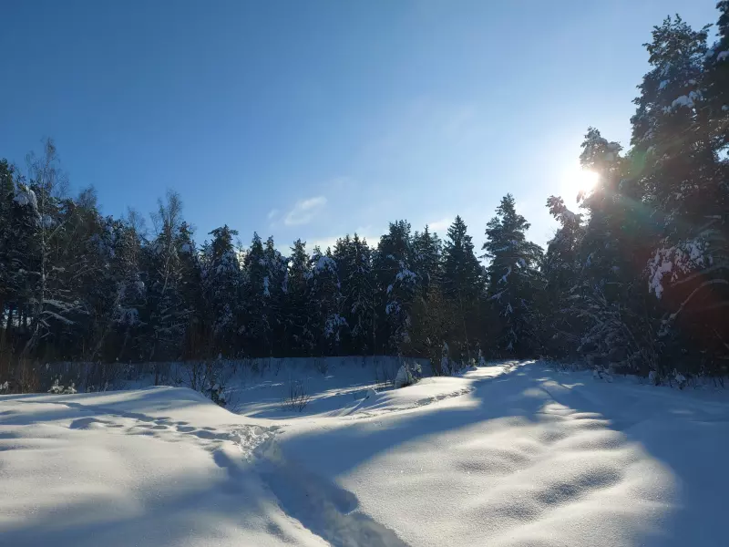 Чайная беседка