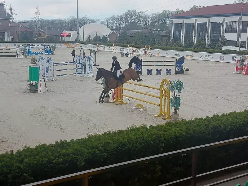 Чайная беседка