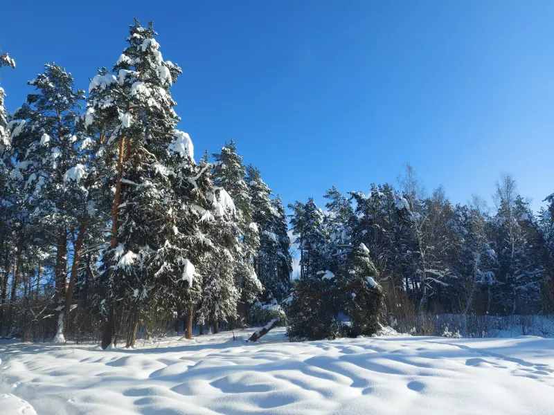 Чайная беседка