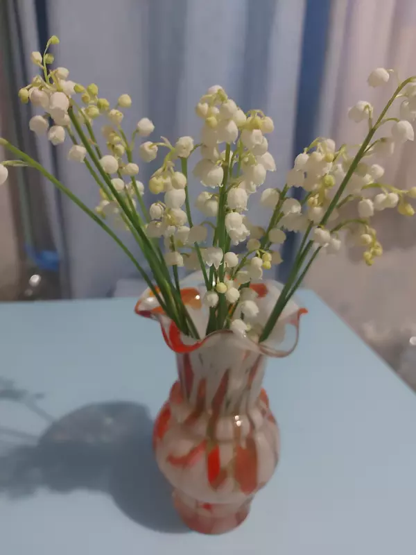 Чайная беседка