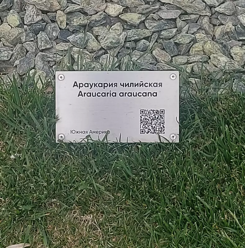 Чайная беседка