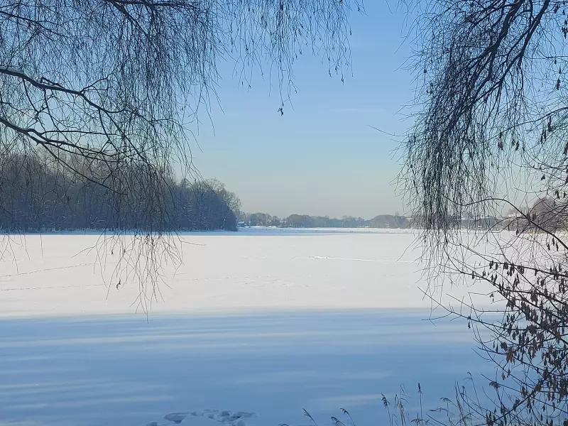 Чайная беседка