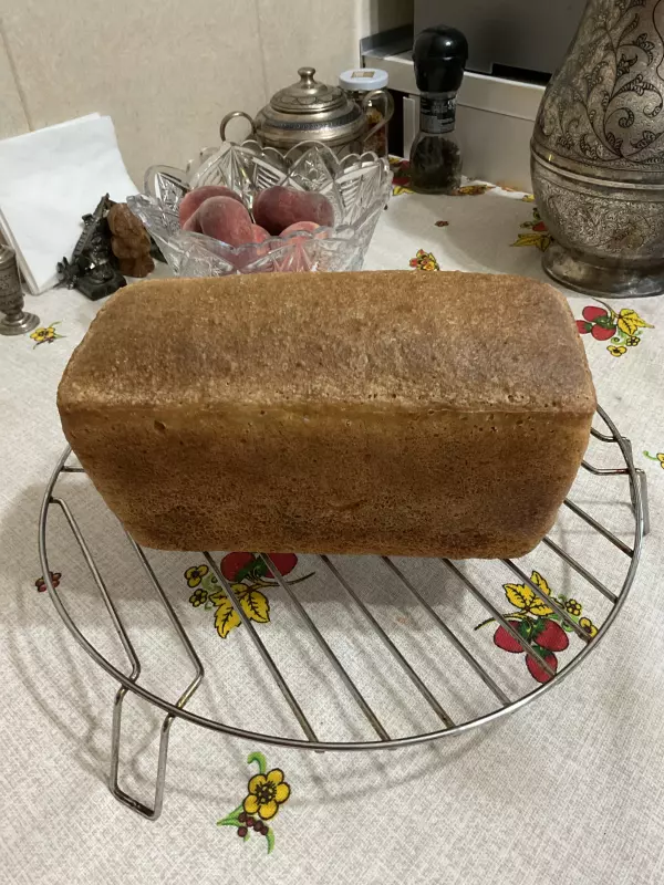 Tapтaлeтки & Ко
