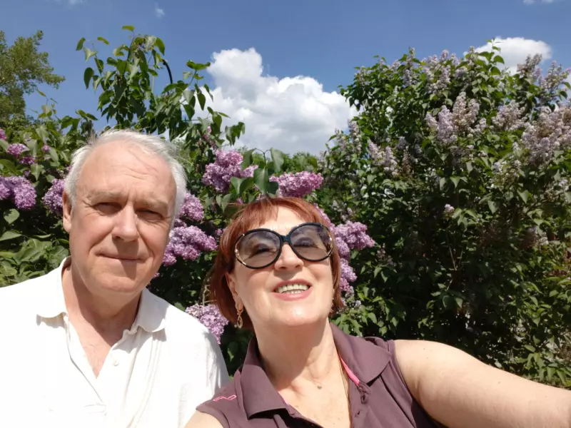 Чайная беседка