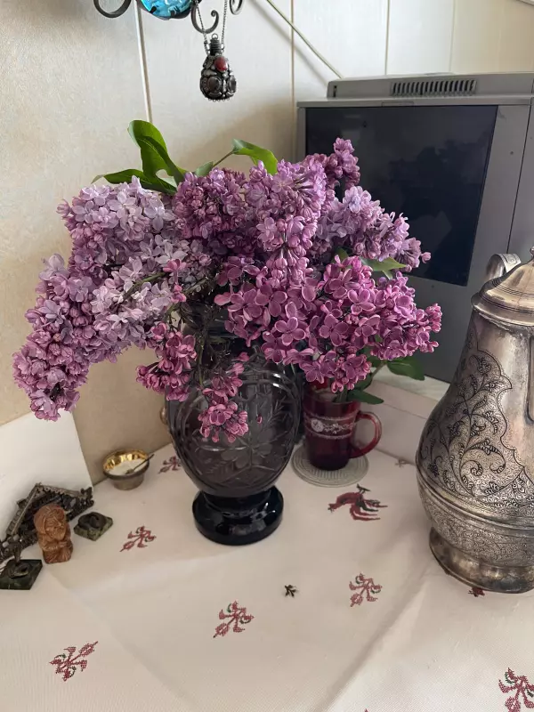 Чайная беседка