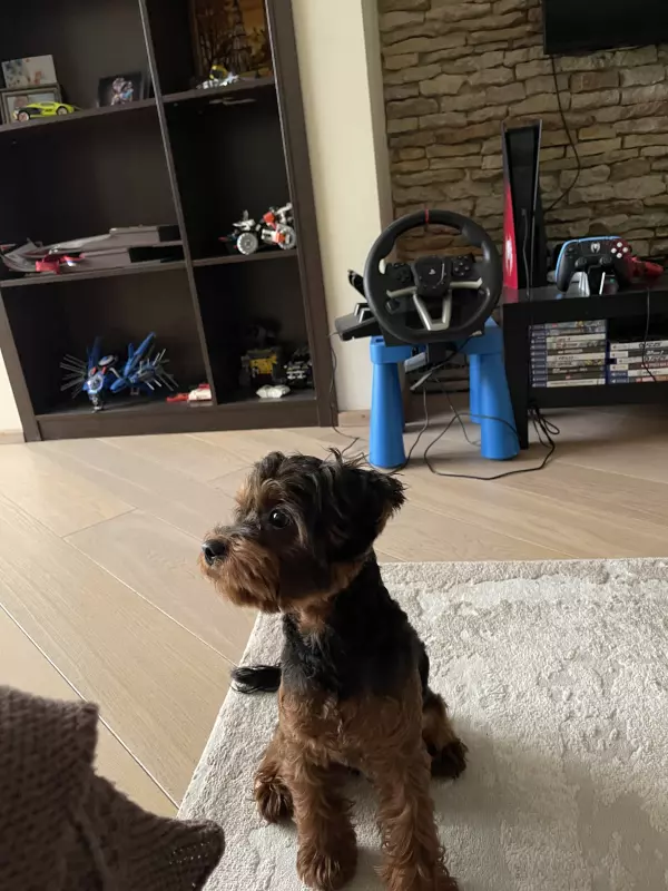 Чайная беседка