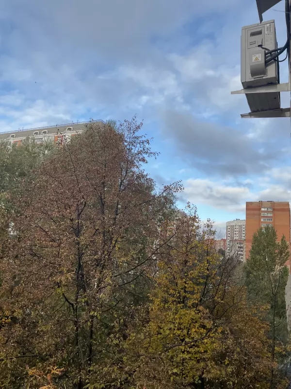 Чайная беседка