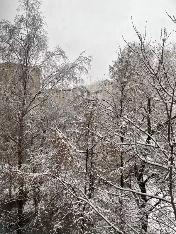 Чайная беседка