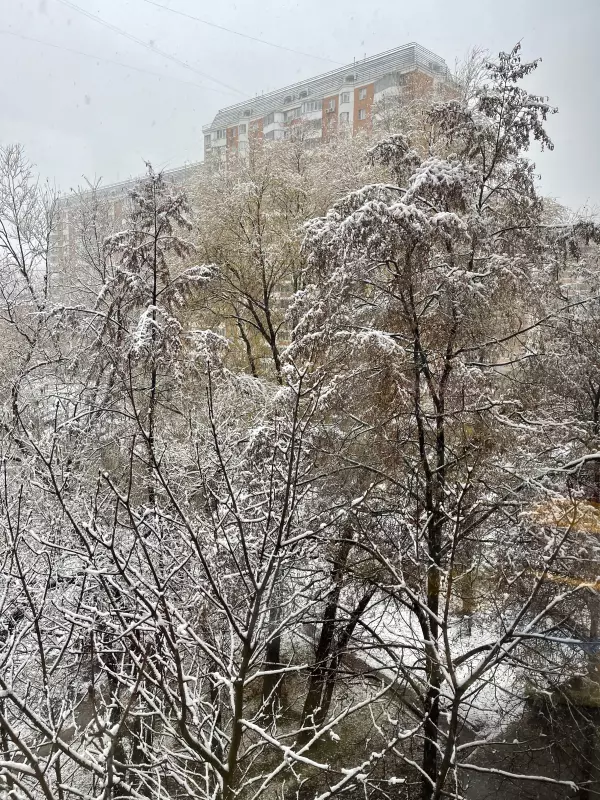 Чайная беседка