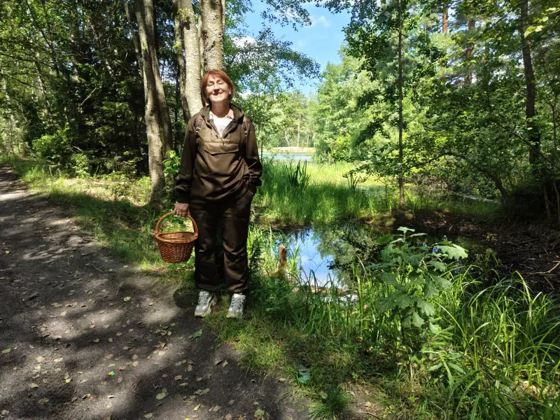 Чайная беседка