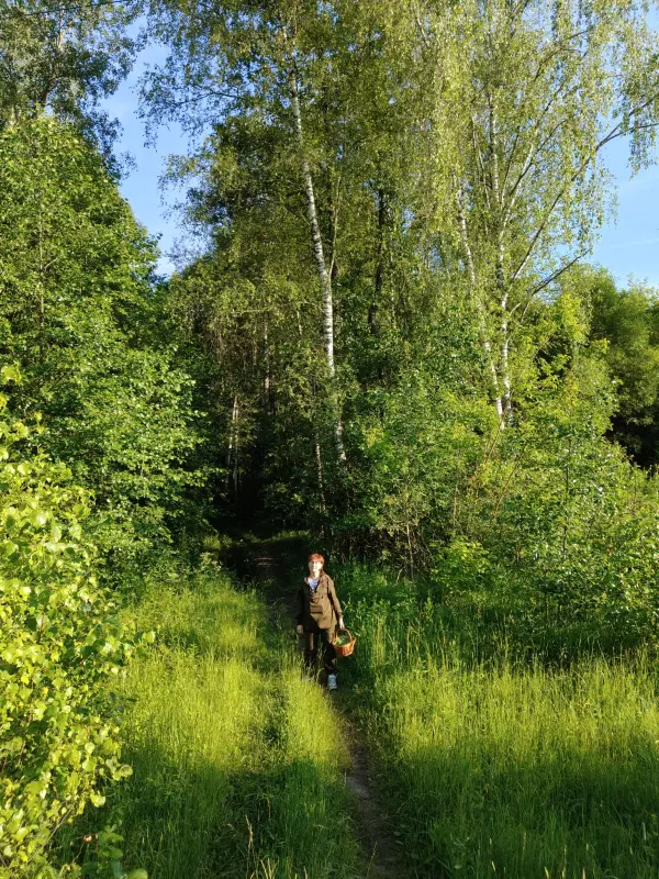 Чайная беседка