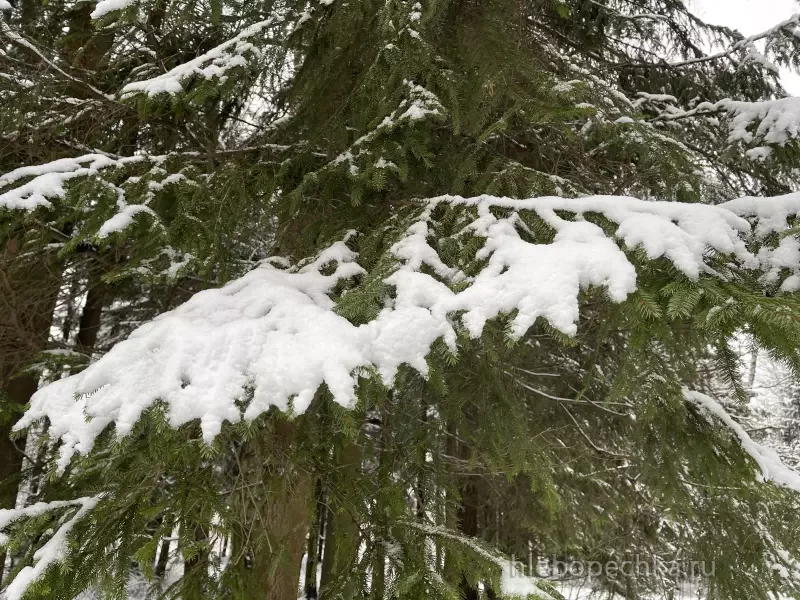 Чайная беседка