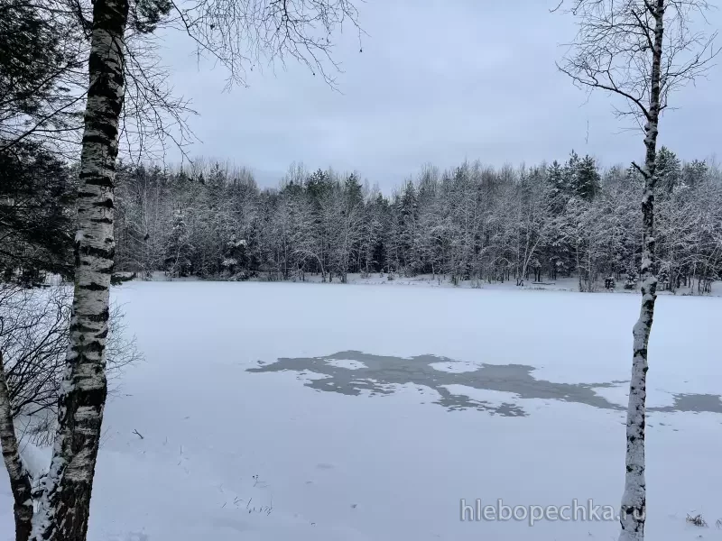 Чайная беседка