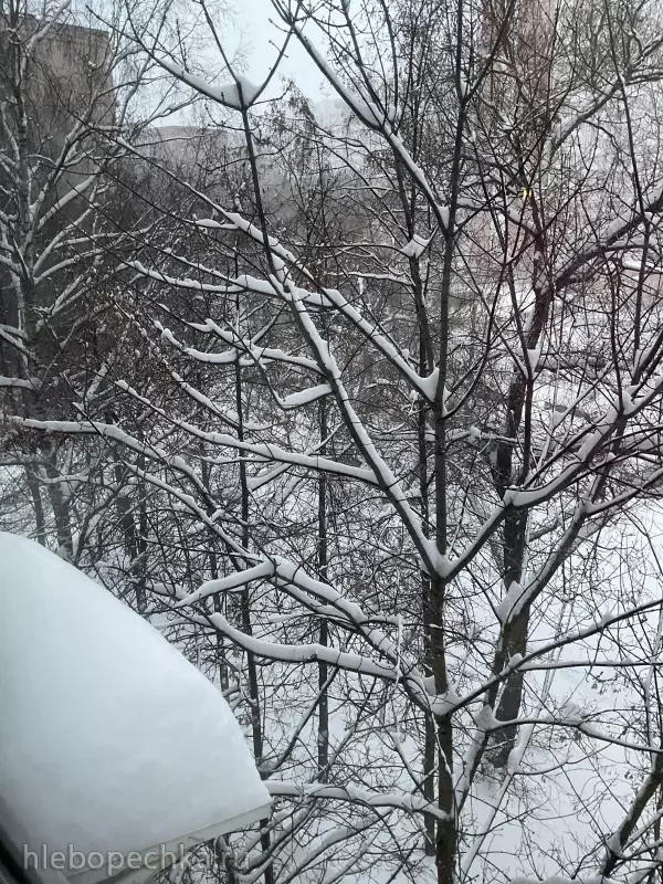 Чайная беседка