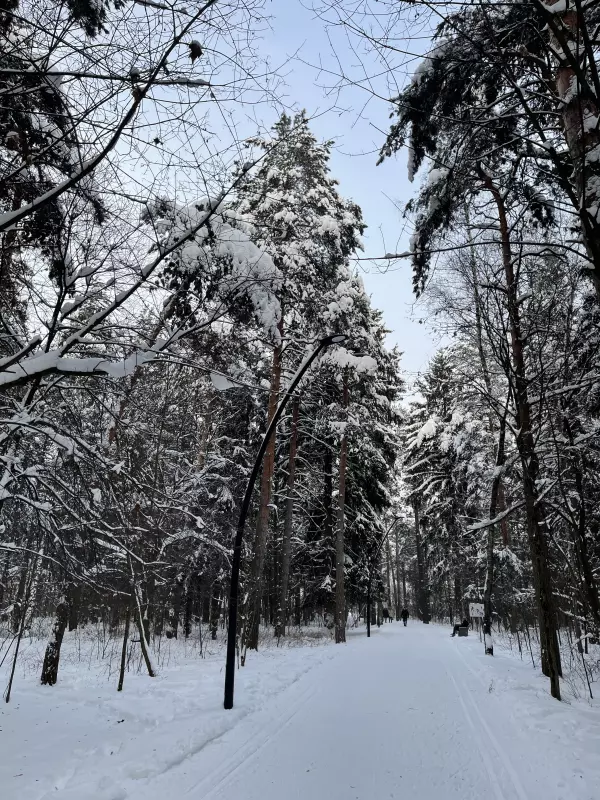 Чайная беседка