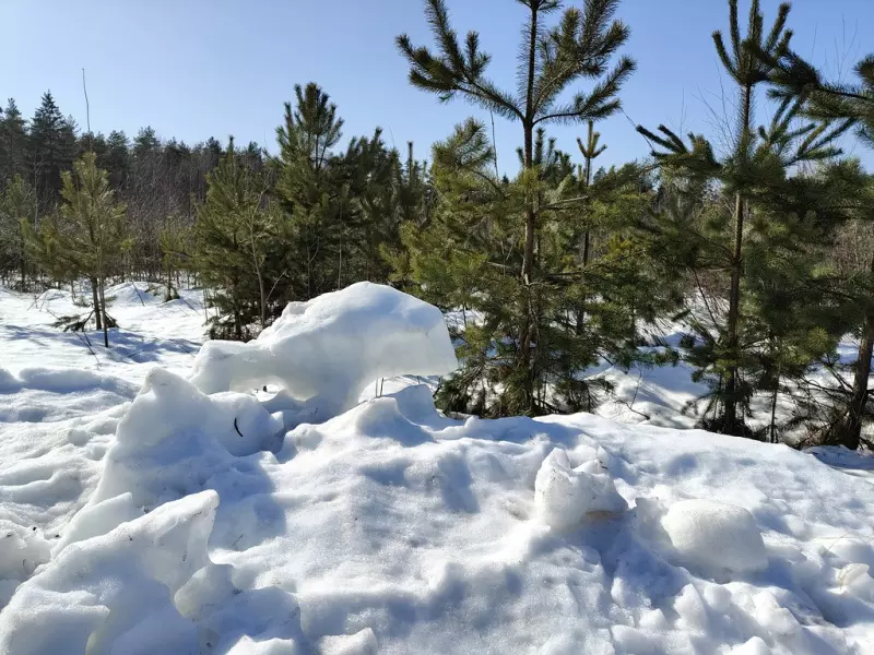 Чайная беседка
