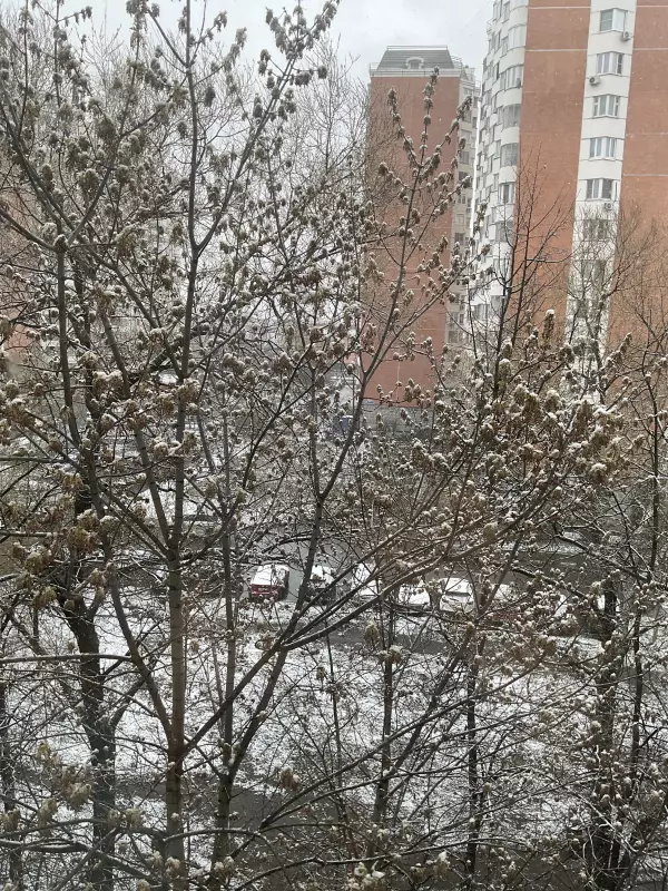 Чайная беседка