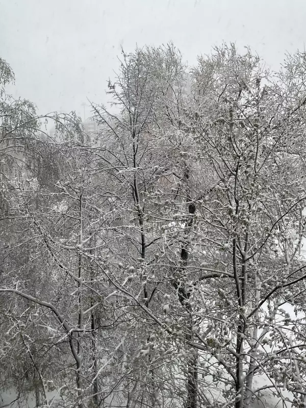 Чайная беседка