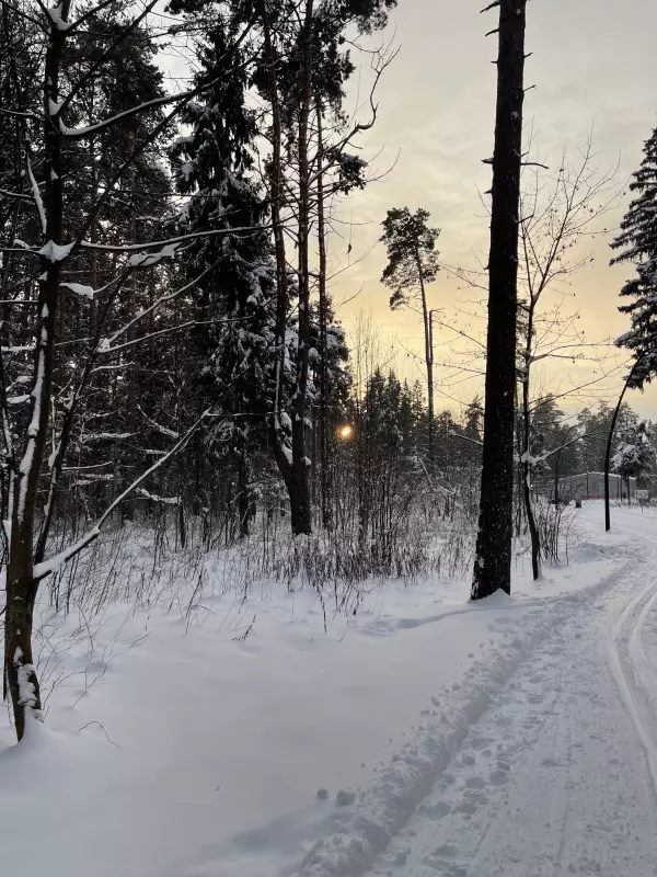 Чайная беседка