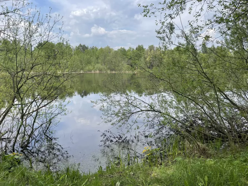 Чайная беседка