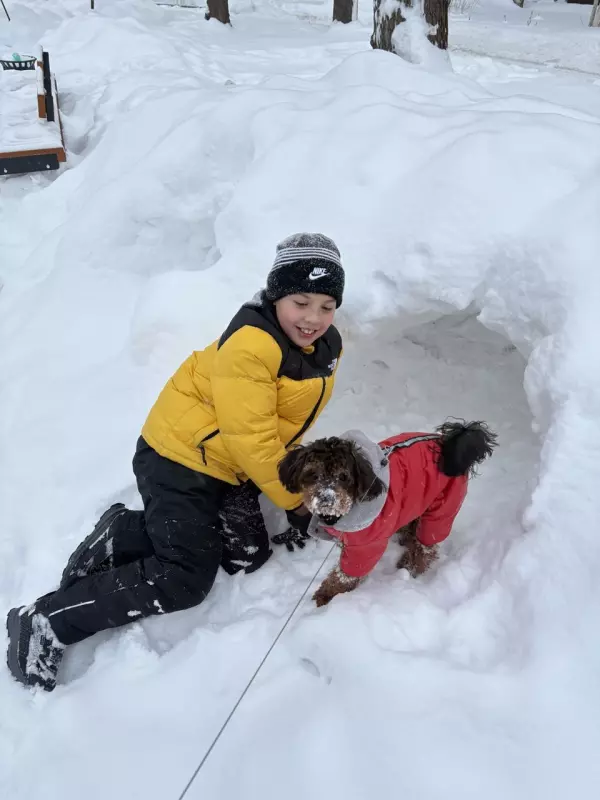 Чайная беседка