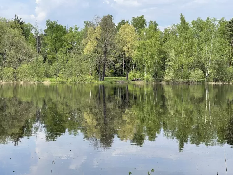 Чайная беседка