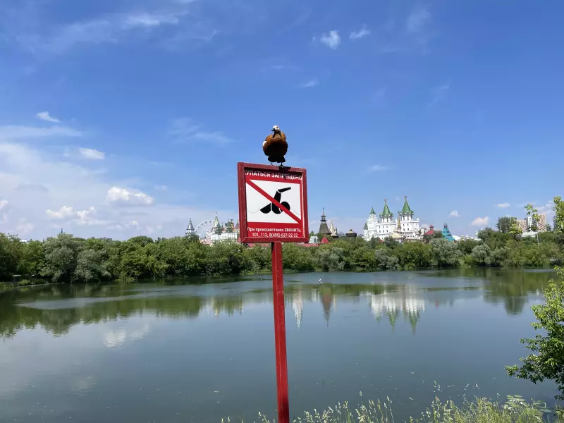 Чайная беседка