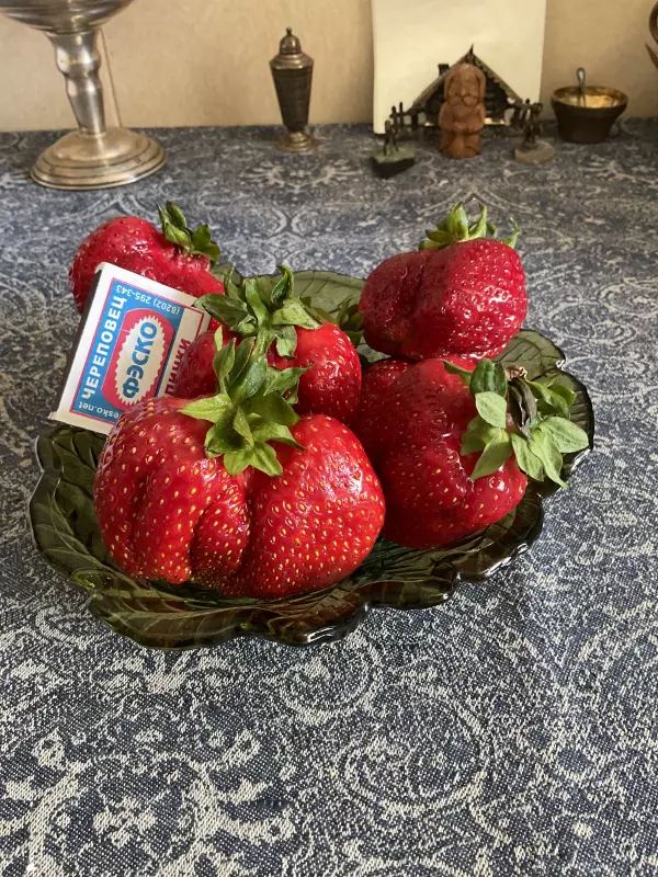 Чайная беседка