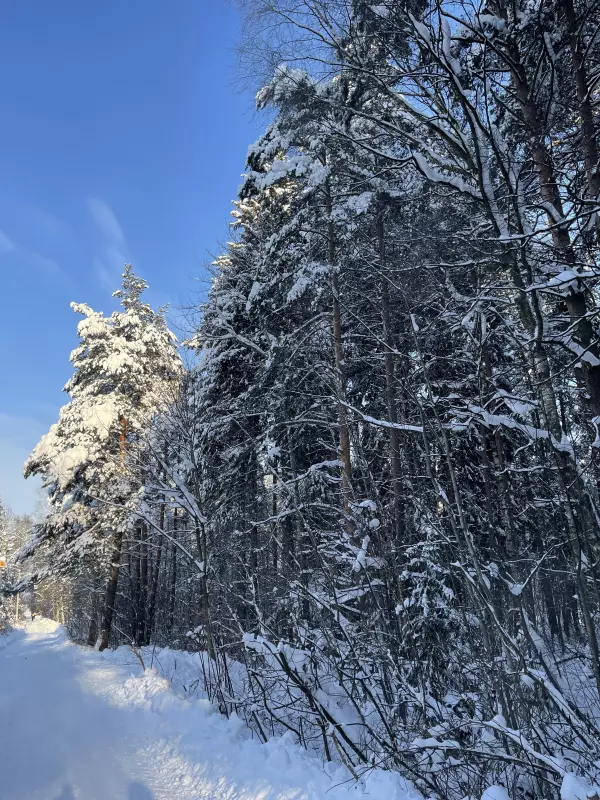 Чайная беседка
