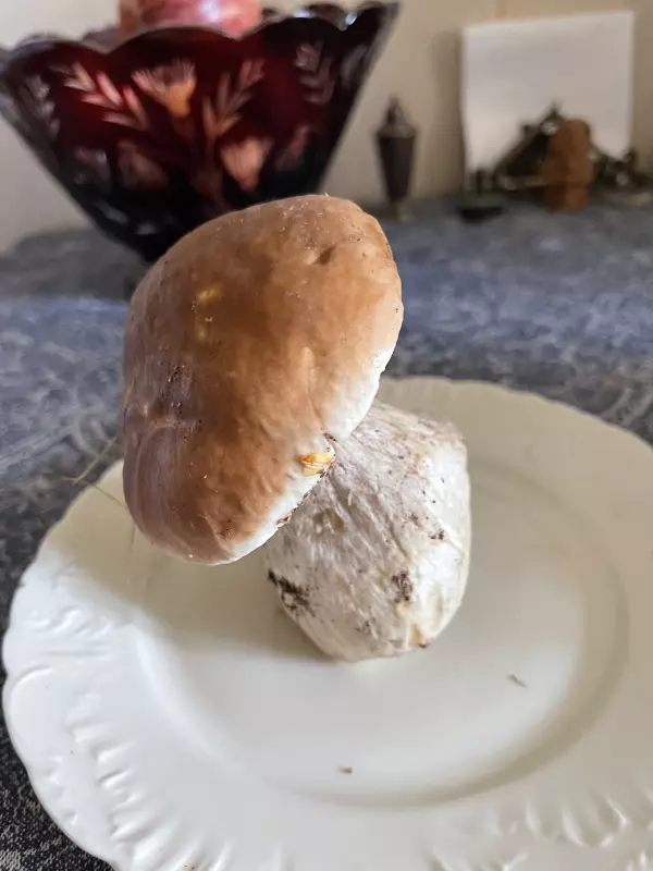 Чайная беседка