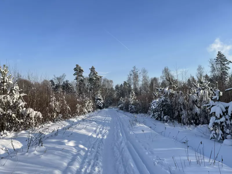 Чайная беседка