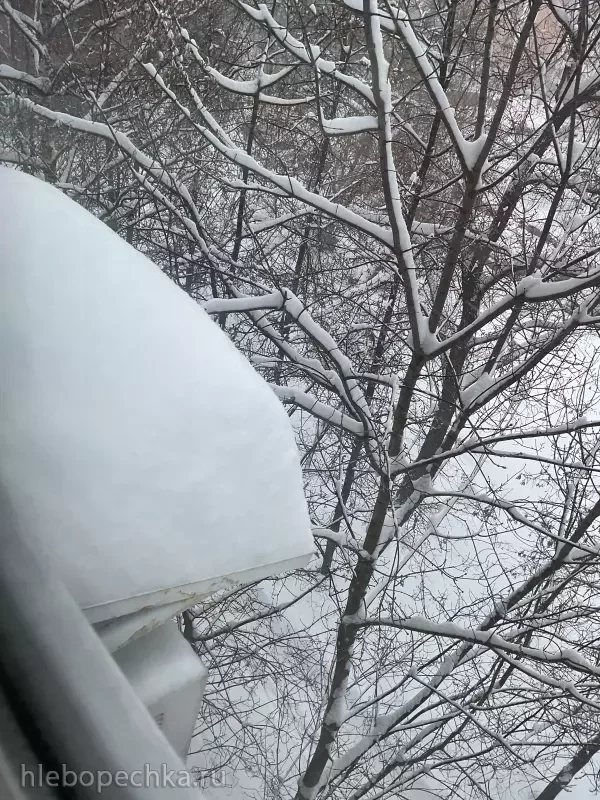 Чайная беседка