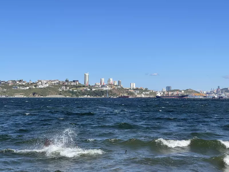 Чайная беседка