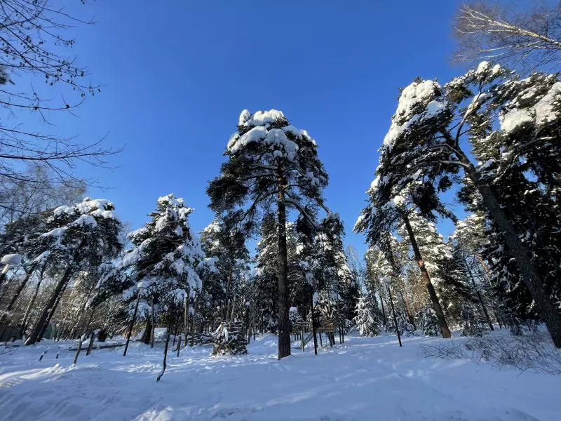 Чайная беседка